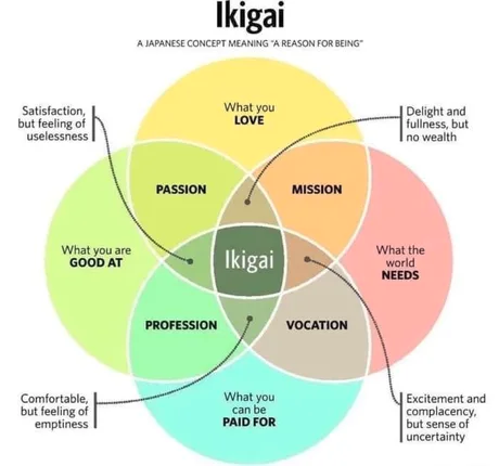 Lees meer over het artikel ikigai