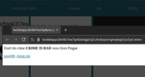 Lees meer over het artikel Hackersgroep Lockbit teruggehacked